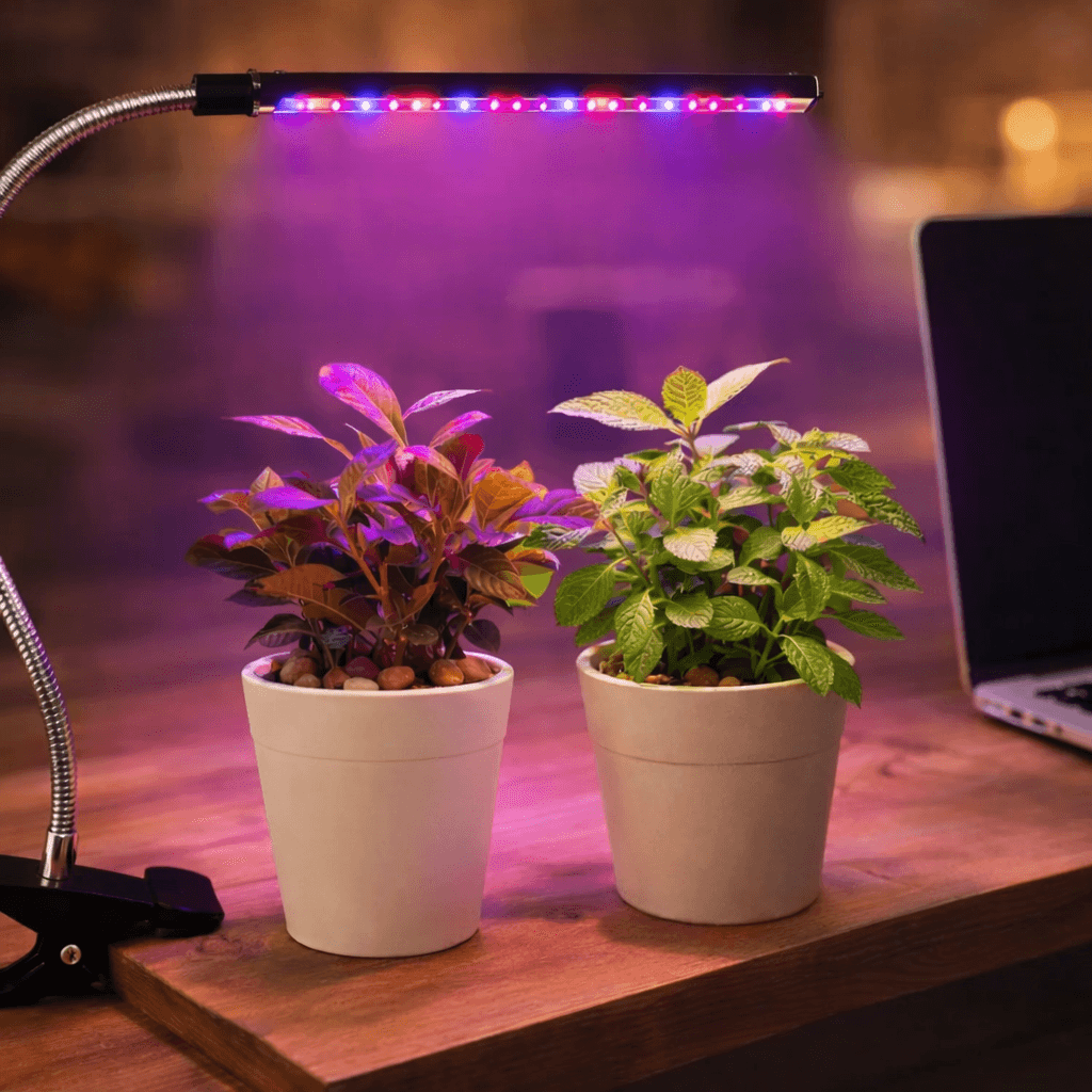 Світлодіодна фітолампа Grow Light для вирощування рослин, розсади Повний спектр 1 голова